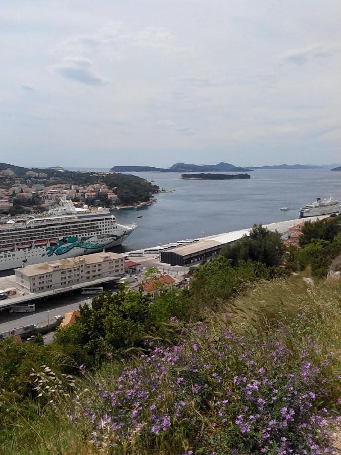 Guest House Taira Dubrovnik Exterior photo